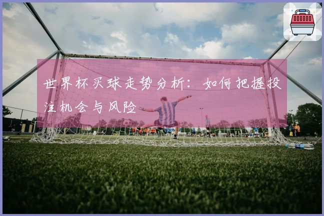 世界杯买球走势分析：如何把握投注机会与风险