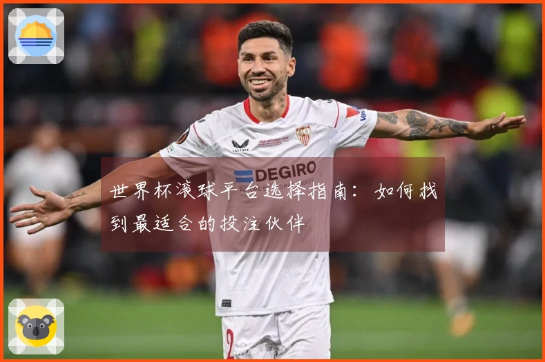 世界杯滚球平台选择指南：如何找到最适合的投注伙伴