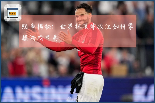 赔率揭秘：世界杯滚球投注如何掌握游戏节奏