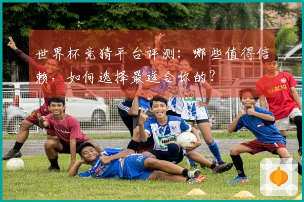 世界杯竞猜平台评测：哪些值得信赖，如何选择最适合你的？