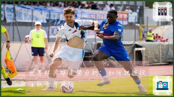 世界杯买球走势分析：如何把握投注机会与风险